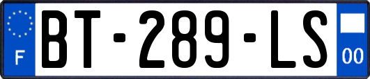 BT-289-LS