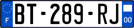 BT-289-RJ