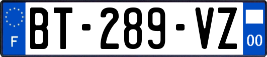 BT-289-VZ