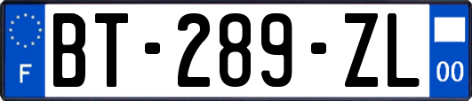 BT-289-ZL