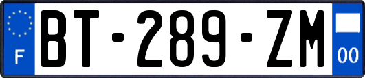 BT-289-ZM