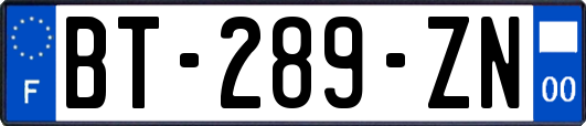 BT-289-ZN