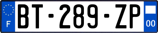 BT-289-ZP