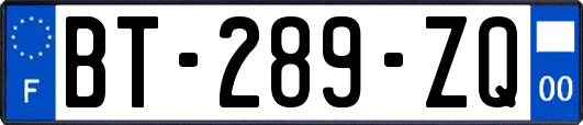 BT-289-ZQ