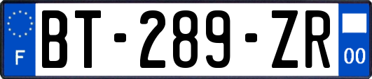 BT-289-ZR