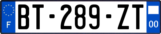 BT-289-ZT