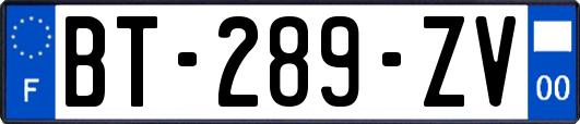 BT-289-ZV