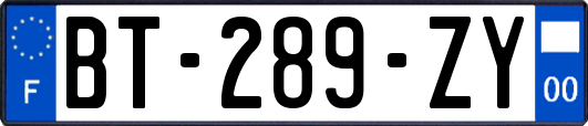 BT-289-ZY