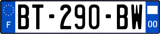 BT-290-BW