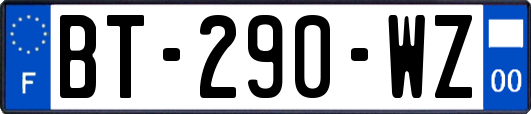 BT-290-WZ