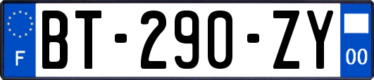 BT-290-ZY