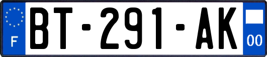 BT-291-AK