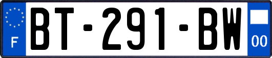 BT-291-BW