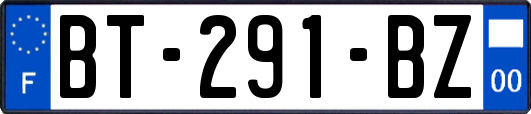 BT-291-BZ