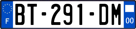 BT-291-DM