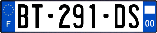 BT-291-DS