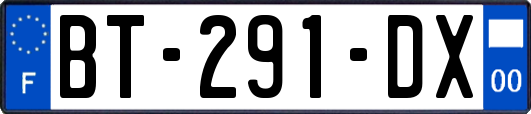 BT-291-DX