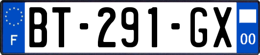 BT-291-GX