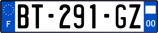 BT-291-GZ