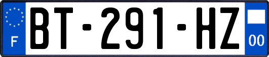 BT-291-HZ