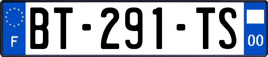 BT-291-TS