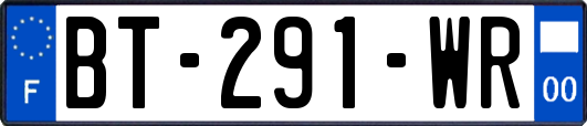 BT-291-WR