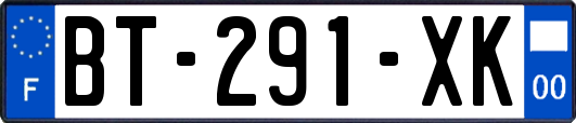 BT-291-XK