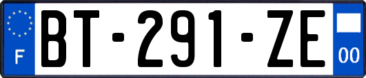 BT-291-ZE