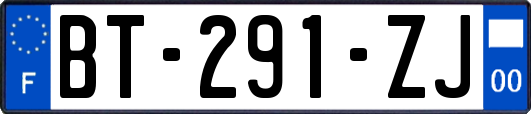 BT-291-ZJ