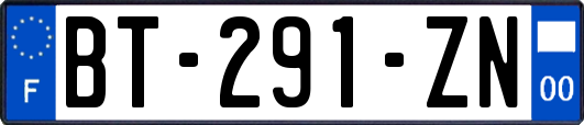 BT-291-ZN