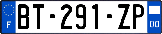 BT-291-ZP