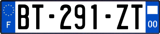 BT-291-ZT