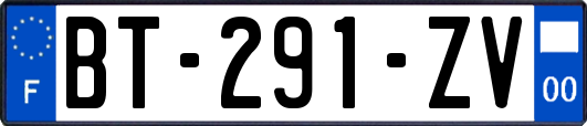 BT-291-ZV