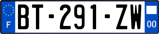 BT-291-ZW