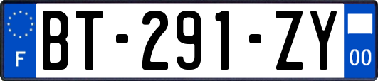 BT-291-ZY