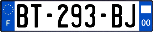 BT-293-BJ