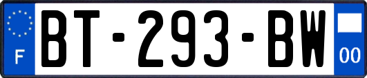 BT-293-BW