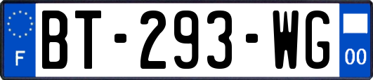 BT-293-WG