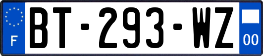 BT-293-WZ