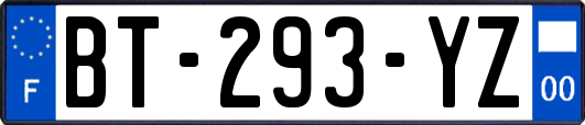 BT-293-YZ