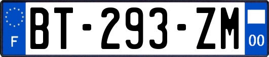 BT-293-ZM