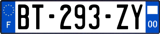 BT-293-ZY