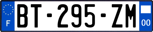 BT-295-ZM