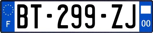 BT-299-ZJ