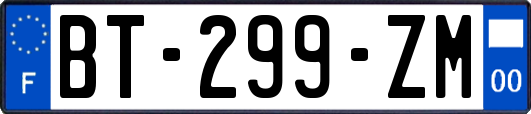 BT-299-ZM