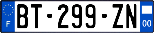 BT-299-ZN