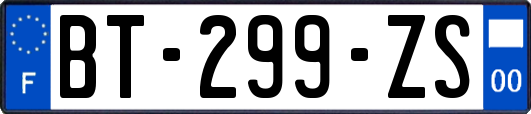 BT-299-ZS