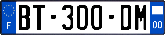 BT-300-DM