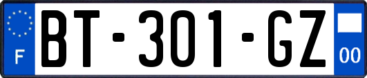 BT-301-GZ