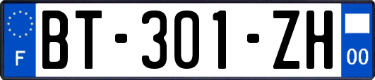 BT-301-ZH